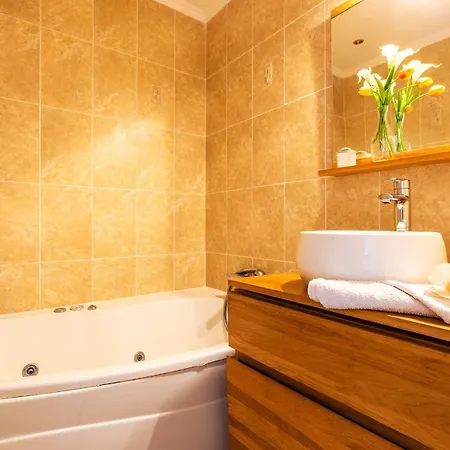 公寓 Grand Soleil Ap4365 By Riviera Homes 尼斯